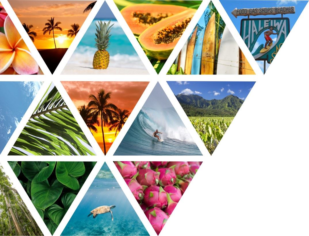 tropical pictures in triangles